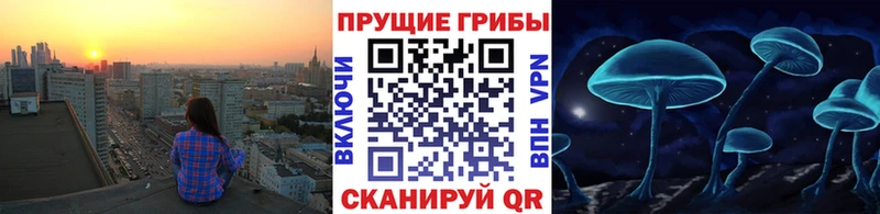 Купить где  Славск  Псилоцибиновые грибы ЛСД 