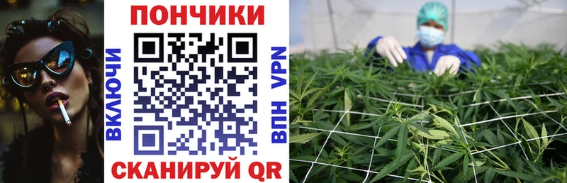 Бошки Шишки White Widow  Купить закладки  Славск 